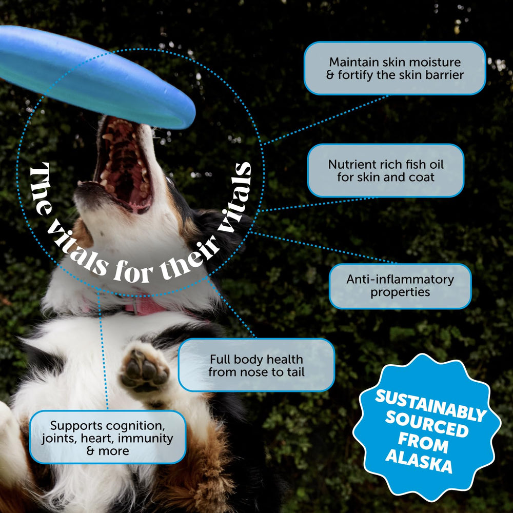 Pet Honesty: aceite de salmón Alaska en vertido para mayor palatabilidad sin olor.