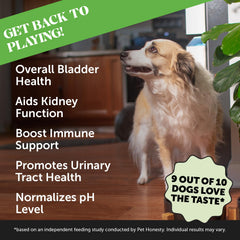Pet Honesty Bladder Health Cranberry Chews dmannose: podría ayudar al funcionamiento normal del tracto urinario