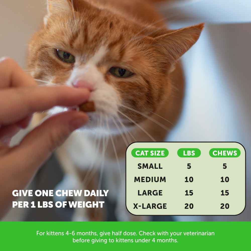 Pet Honesty – équilibre digestif possible grâce à des fibres naturelles.
