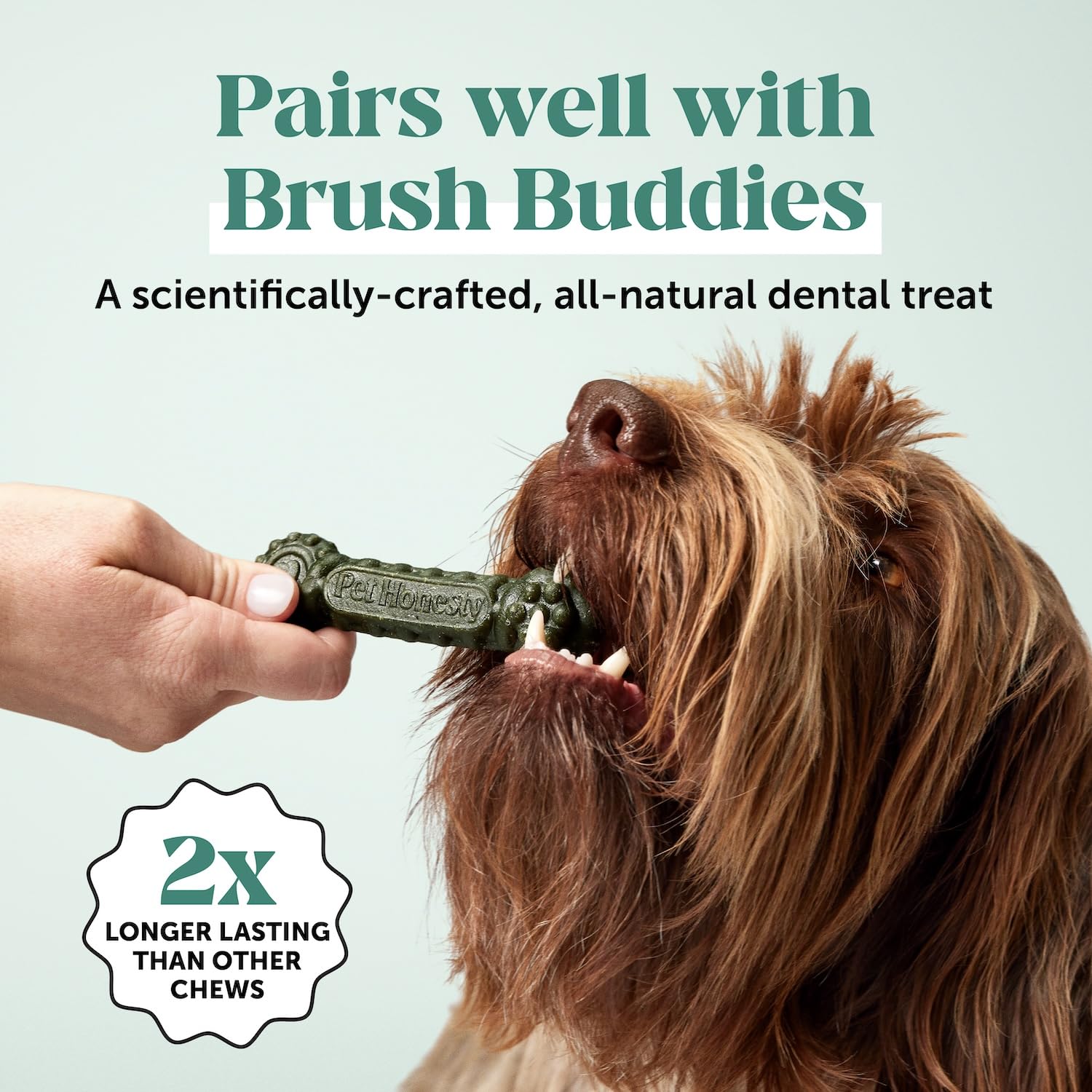 Sabor menta de Pet Honesty que muchos perros aceptan con gusto.