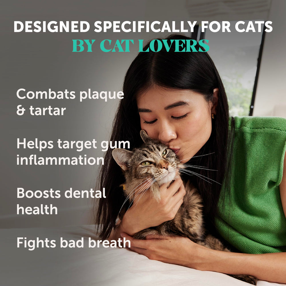 Pet Honesty envase polvo dental gato facil de incorporar en la dieta diaria