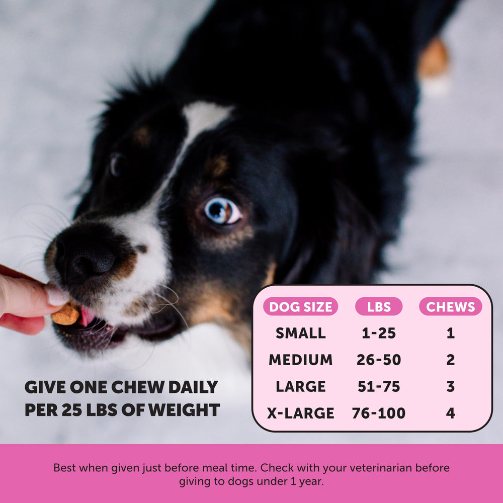 Pet Honesty Dog Multivitamin Max Strength — enzimas digestivas que facilitan la absorción.