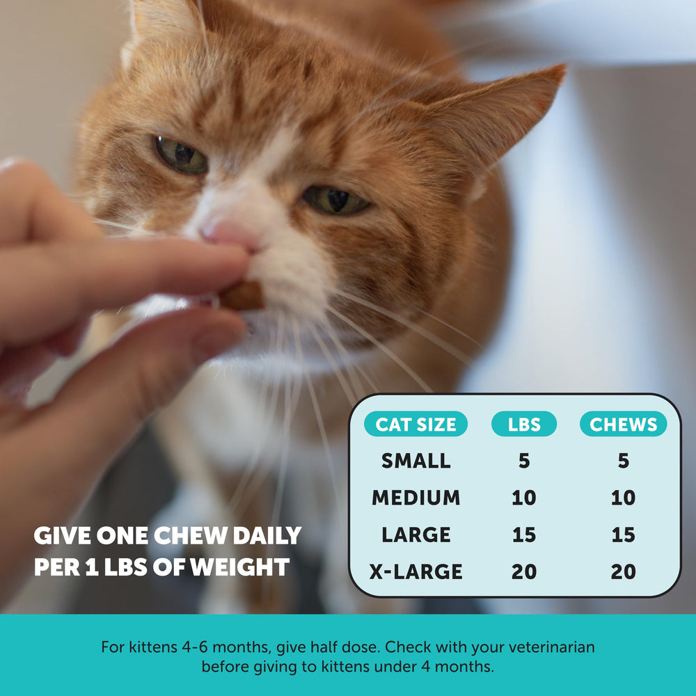 Pet Honesty fabrication USA chat, produit de qualité fabriqué aux États‑Unis.