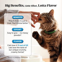 Pet Honesty Gato Biotina Pelo Brillante: promueve pelaje suave y fuerte