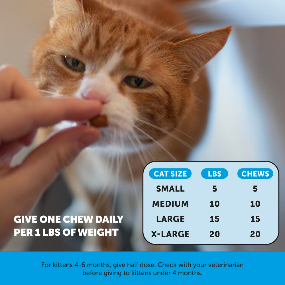 Pet Honesty Gato Cuidado de la Piel Interior: apoyo interno para una piel sana