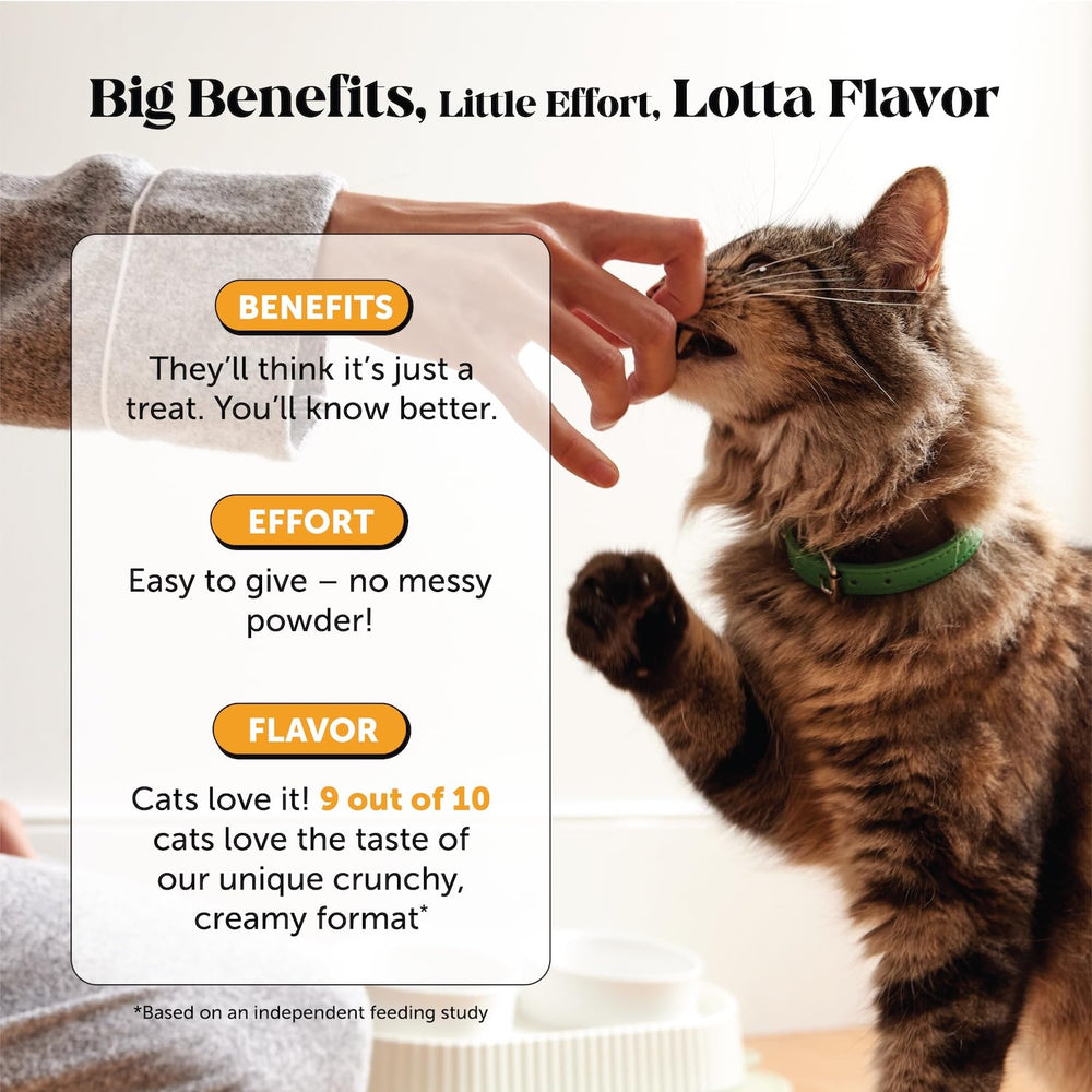 Pet Honesty: ingredientes clave como colostro y quercetina para soporte natural.