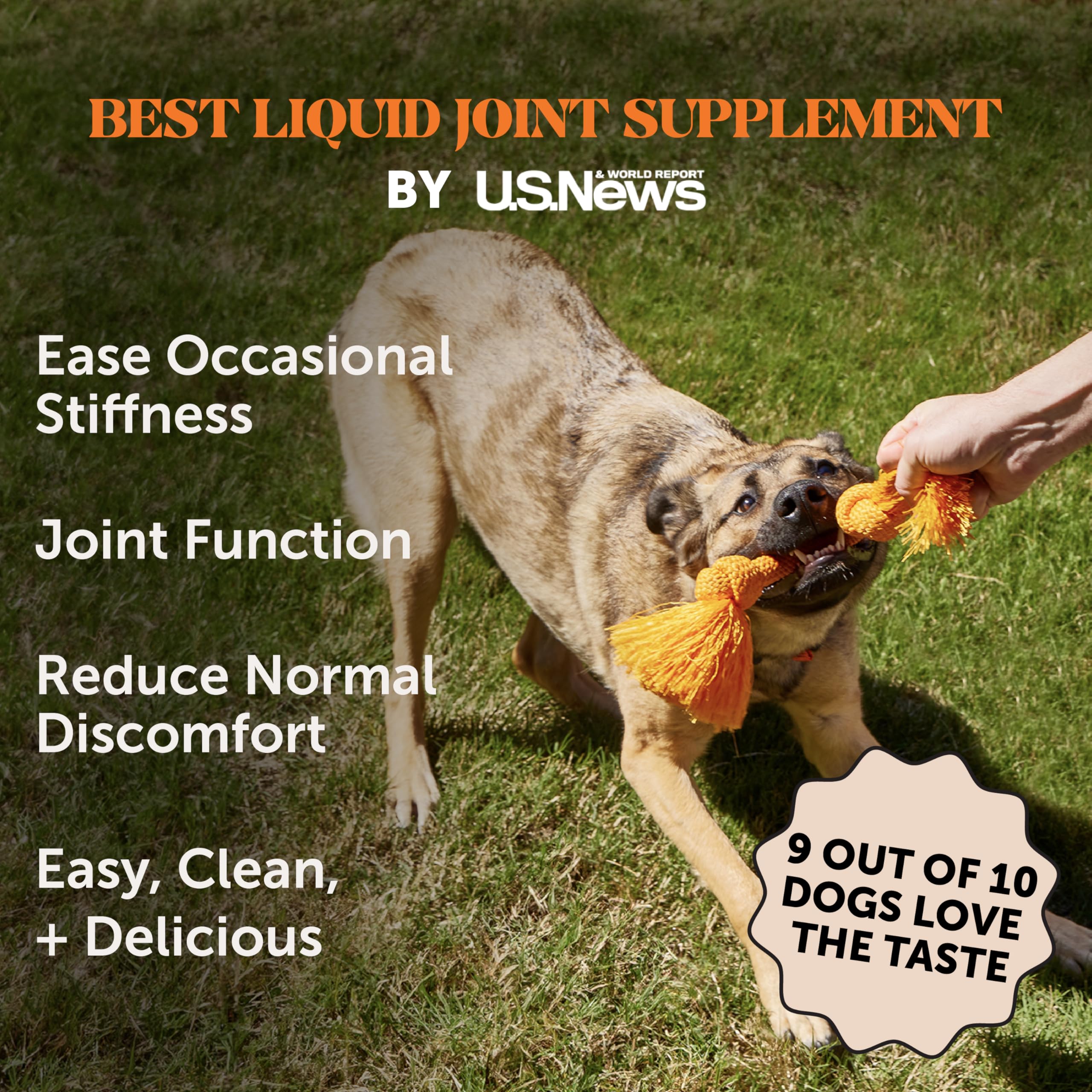 Pet Honesty etiqueta con glucosamina y condroitina, apoyo a articulaciones y flexibilidad.