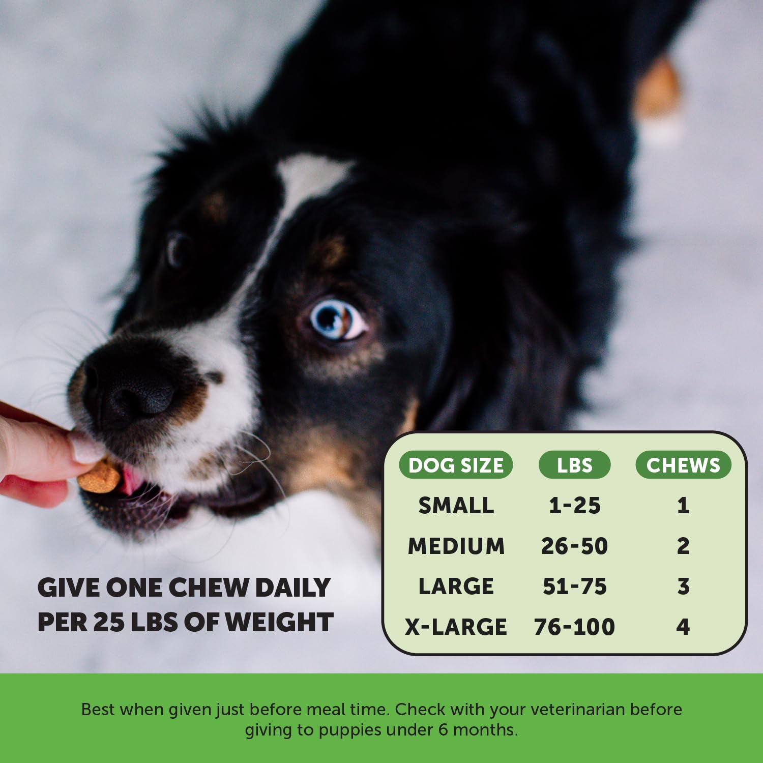 Pet Honesty, ingredientes naturales sin rellenos para perros