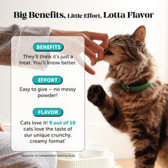 Pet Honesty mode voyage pour chat, sachet pratique pour voyager en calme.