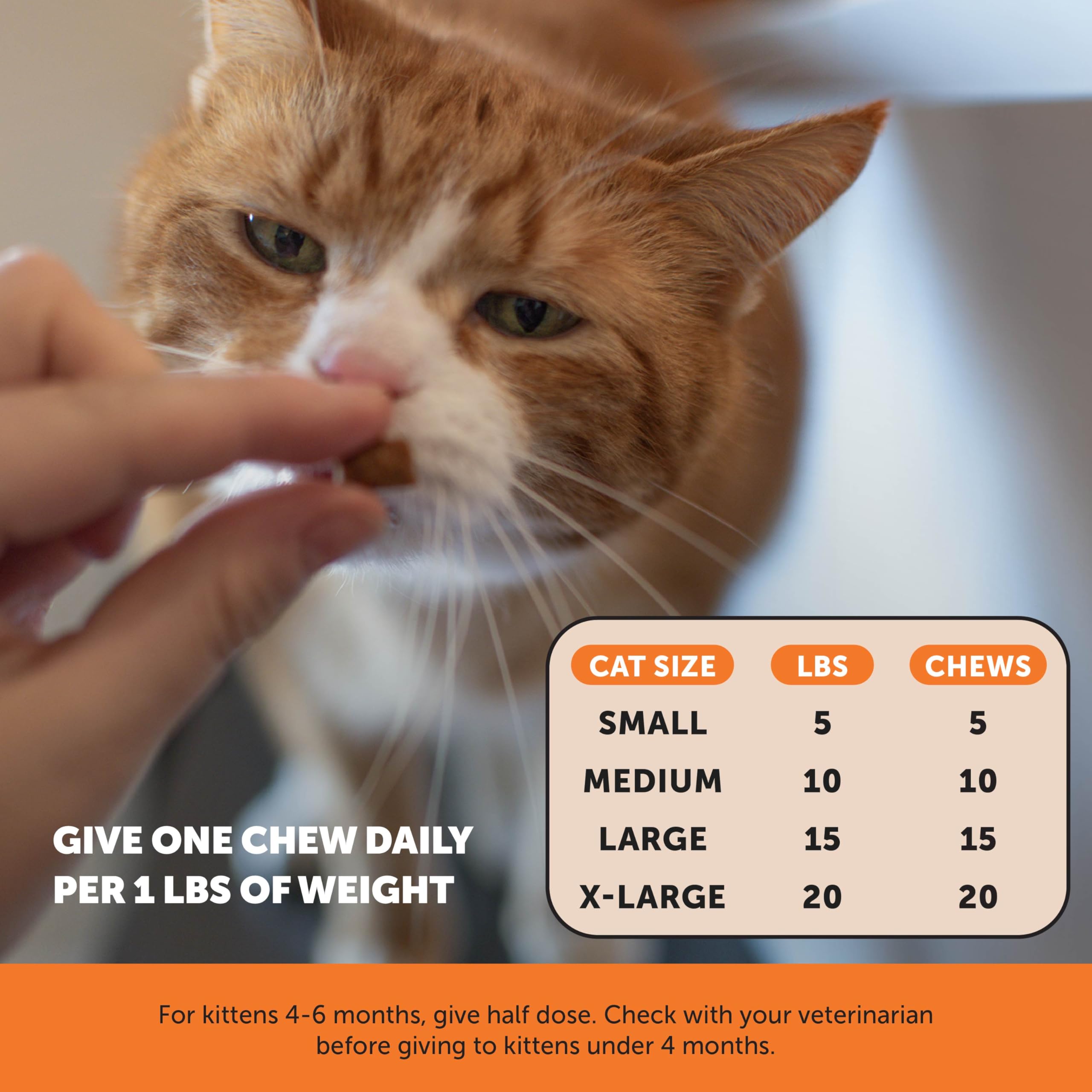 Oméga-3 et moule aux lèvres vertes dans la formule Pet Honesty.