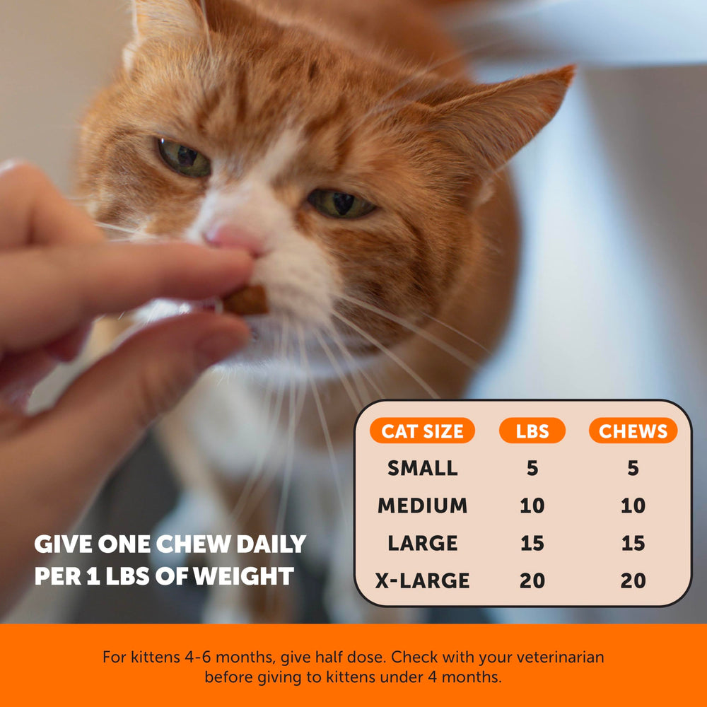 Oméga-3 et moule aux lèvres vertes dans la formule Pet Honesty.