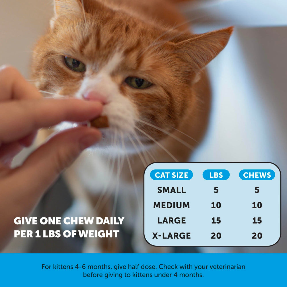 Pet Honesty pelaje brillante y saludable con ingredientes limpios