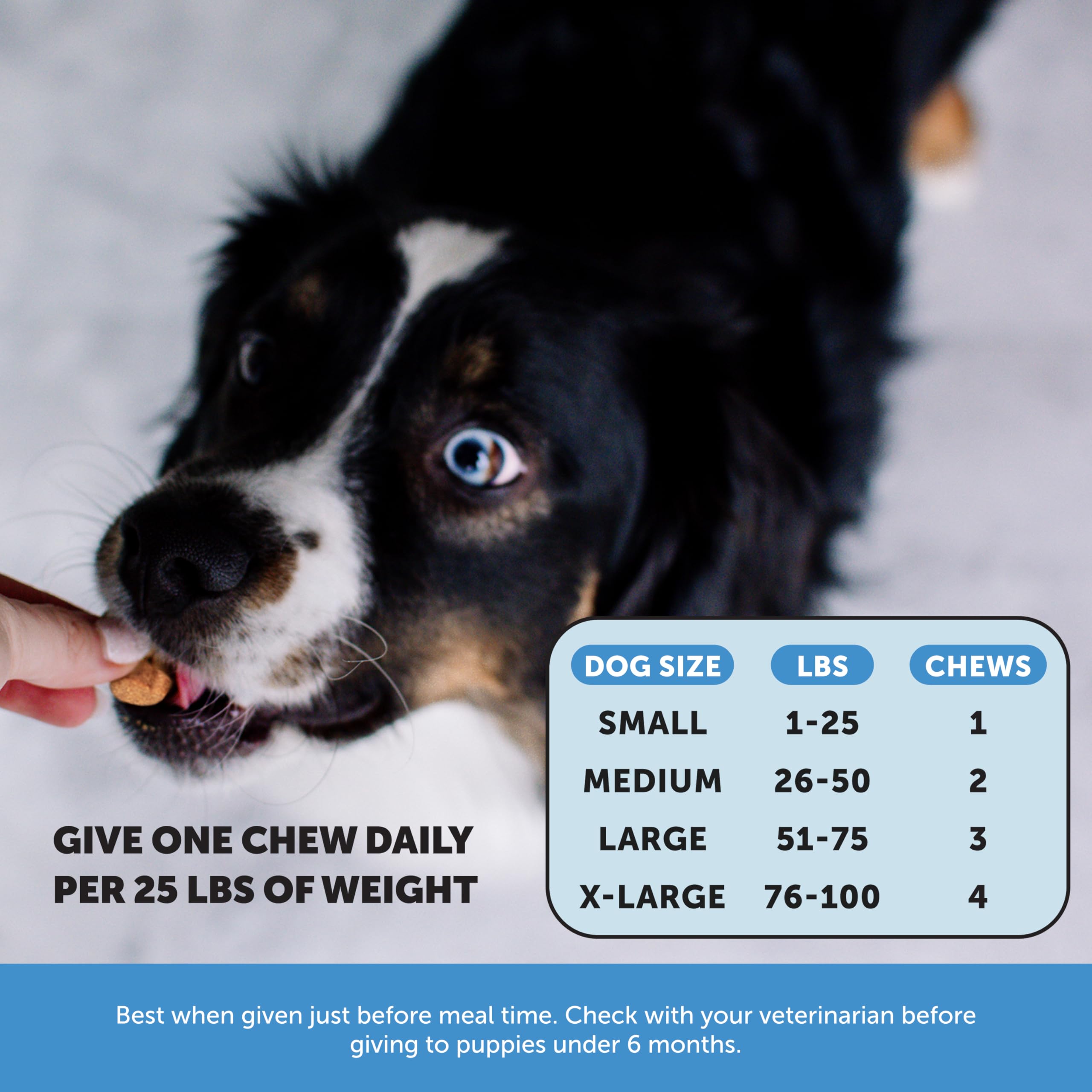 Pet Honesty primer plano de masticables, aroma agradable