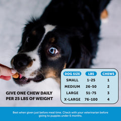 Pet Honesty primer plano de masticables, aroma agradable