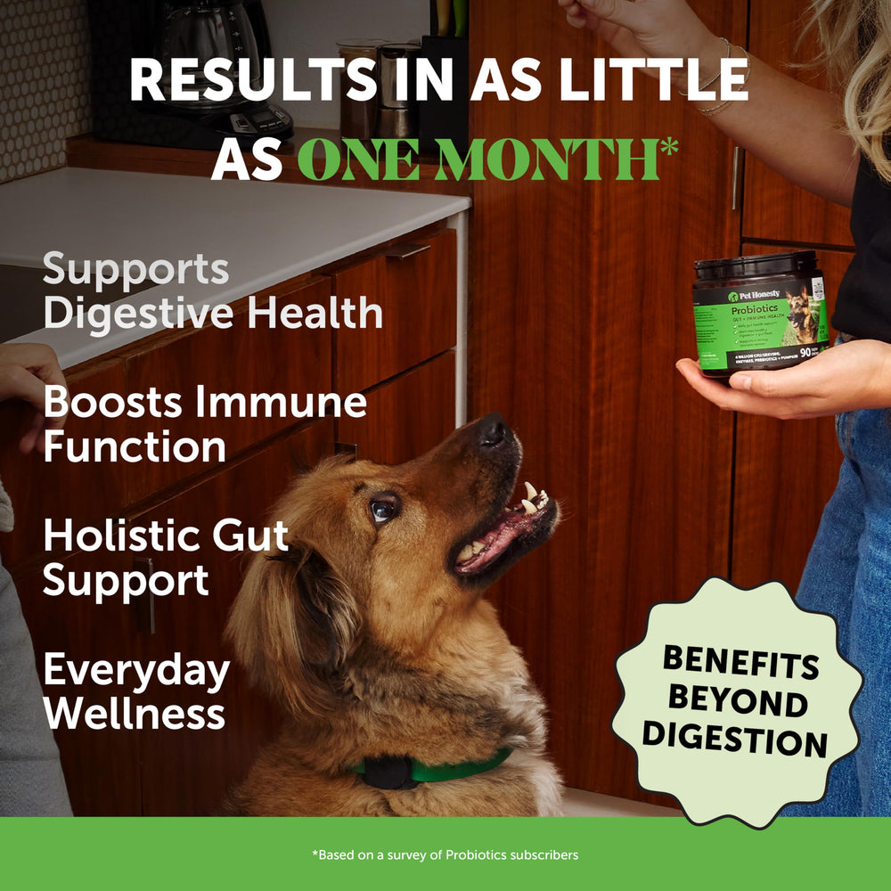 Pet Honesty probiótico para perros con sabor a papaya, promueve microbiota equilibrada