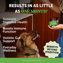 Pet Honesty probiótico para perros con sabor a papaya, promueve microbiota equilibrada