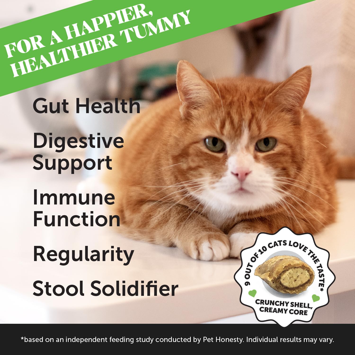 Pet Honesty: ingredientes prebióticos de chicoria para flora intestinal equilibrada