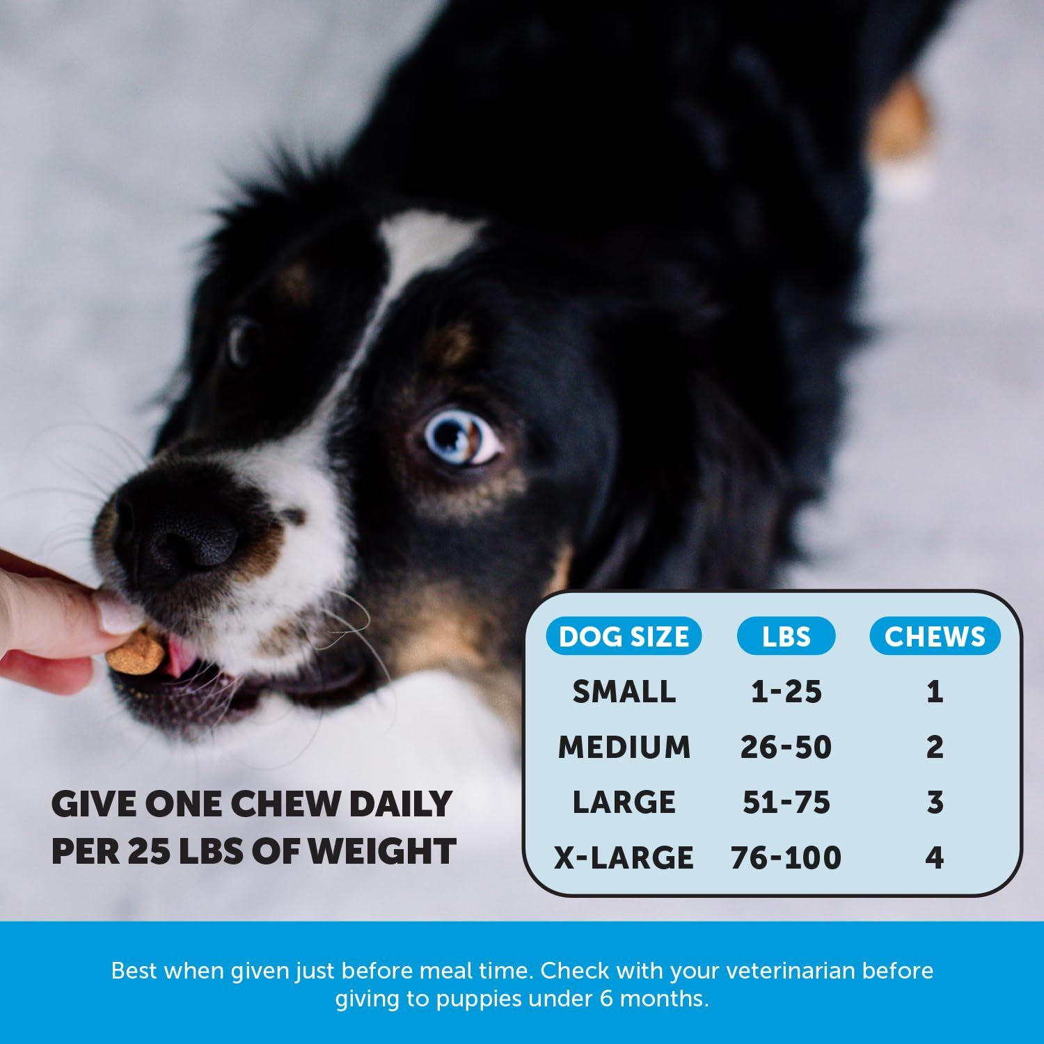 Pet Honesty: fórmula sin maíz, trigo ni soja para opciones limpias.