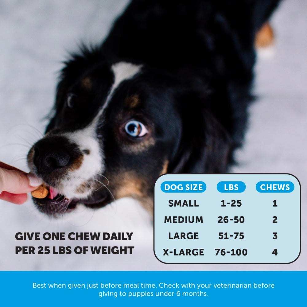 Pet Honesty: fórmula sin maíz, trigo ni soja para opciones limpias.