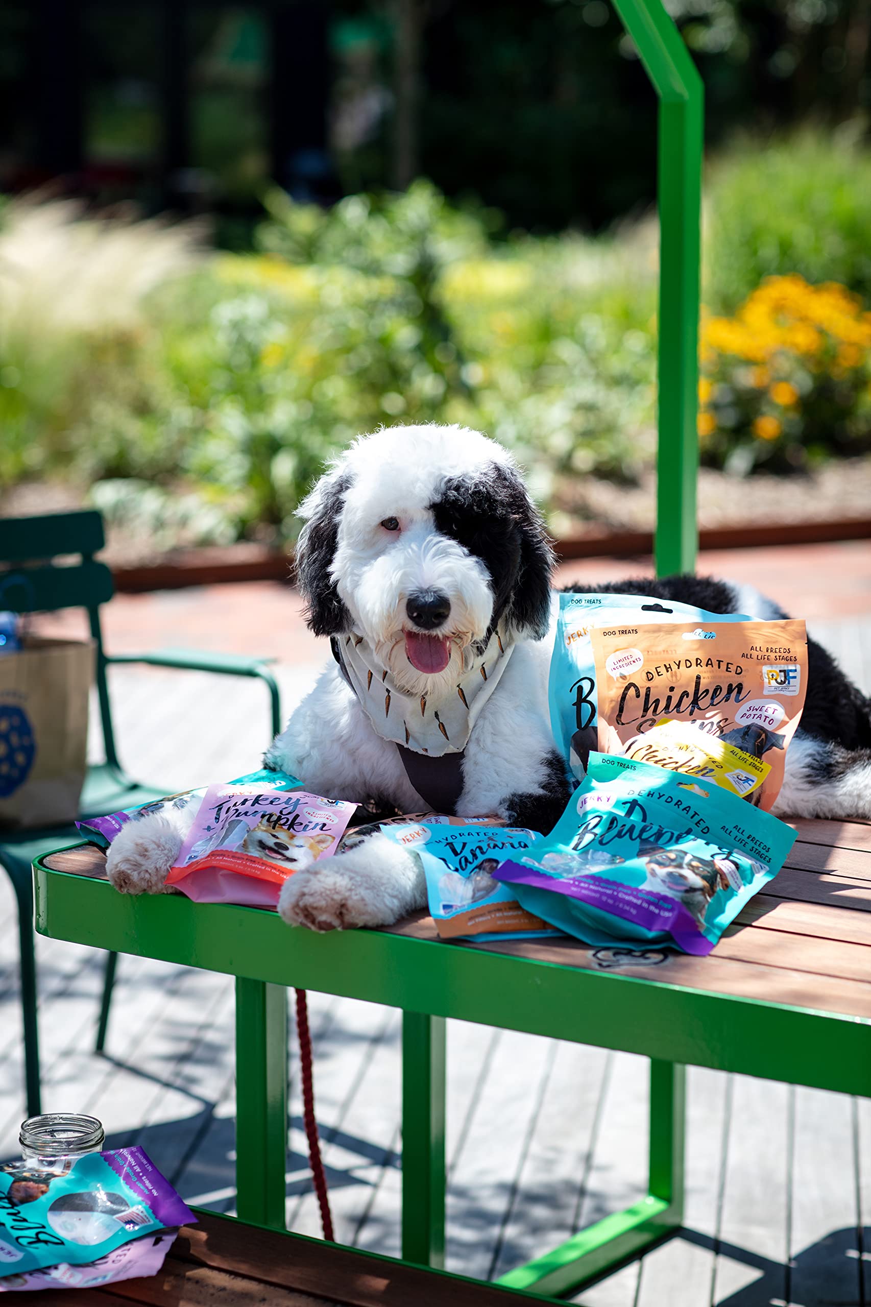 Pet Jerky Factory ideal para entrenamiento con pavo calabaza