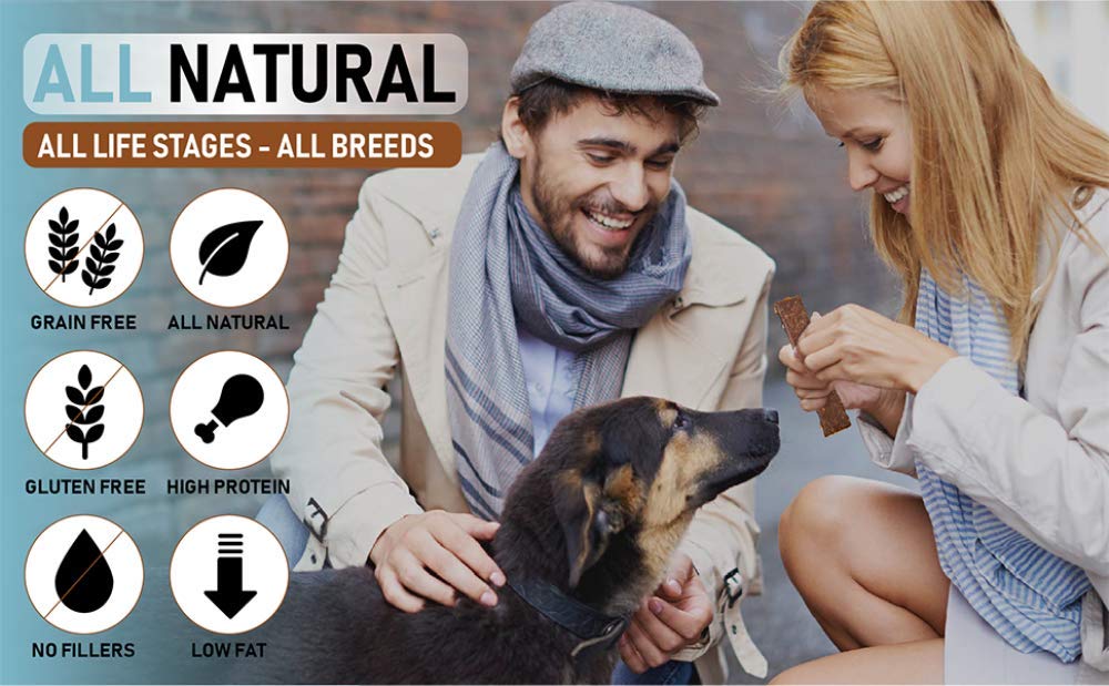 Pet Jerky Factory high-protein beef and banana jerky supports active dogs.