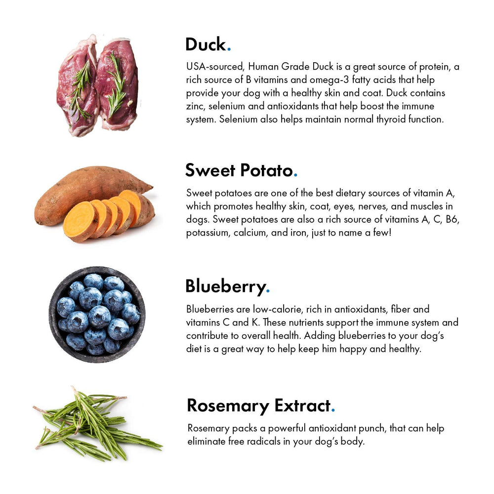 Pato-arándano de PJF, snack alto en proteína para perros activos