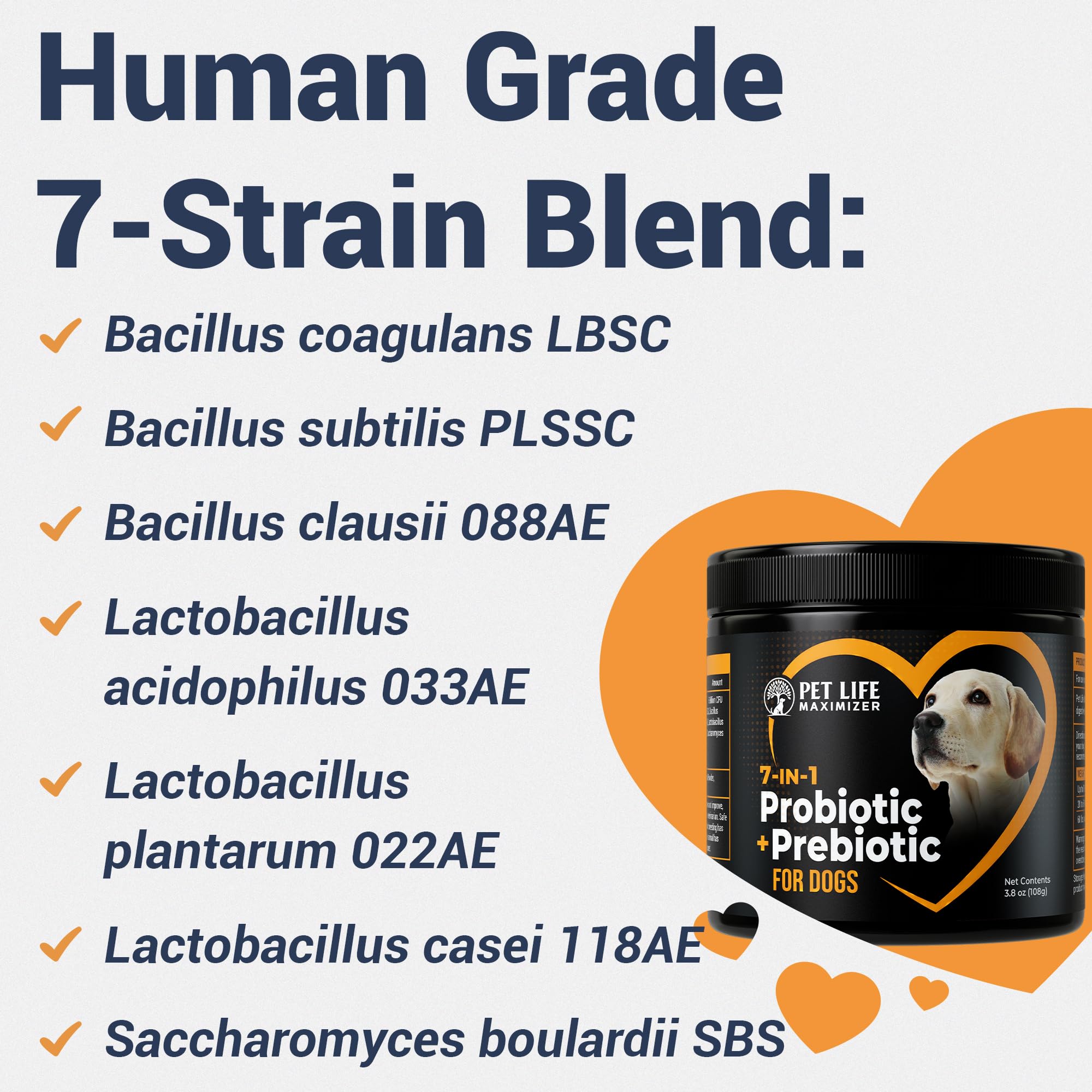 Pet Life Maximizer 7 en 1 probiótico para perros: mezcla fácil con la dieta diaria