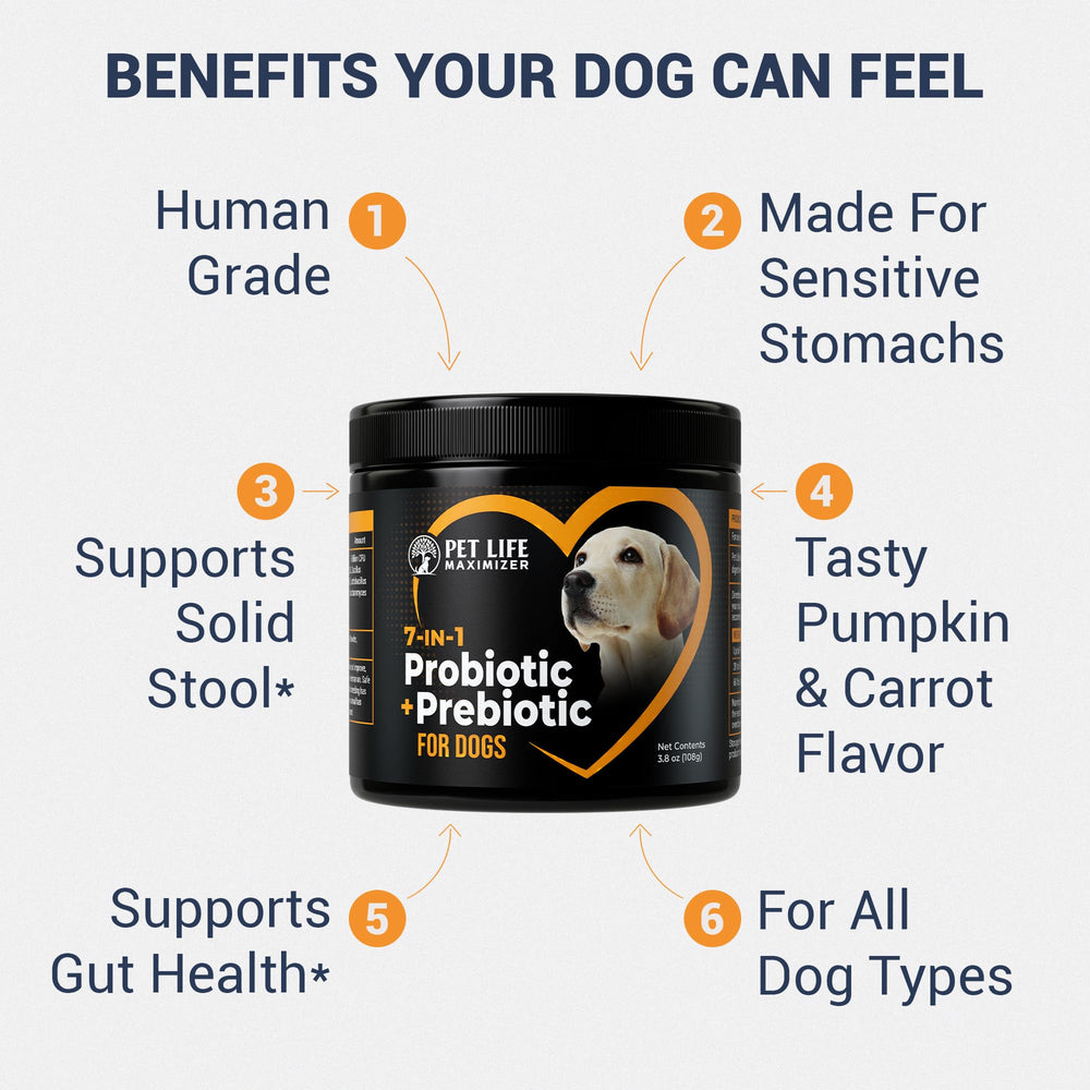 Pet Life Maximizer 7 en 1 probiótico para perros: sabor calabaza y zanahoria que agrada