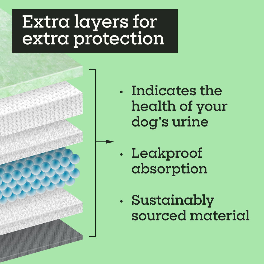 Pet Life Unlimited absorción inteligente protege suelos ante derrames.