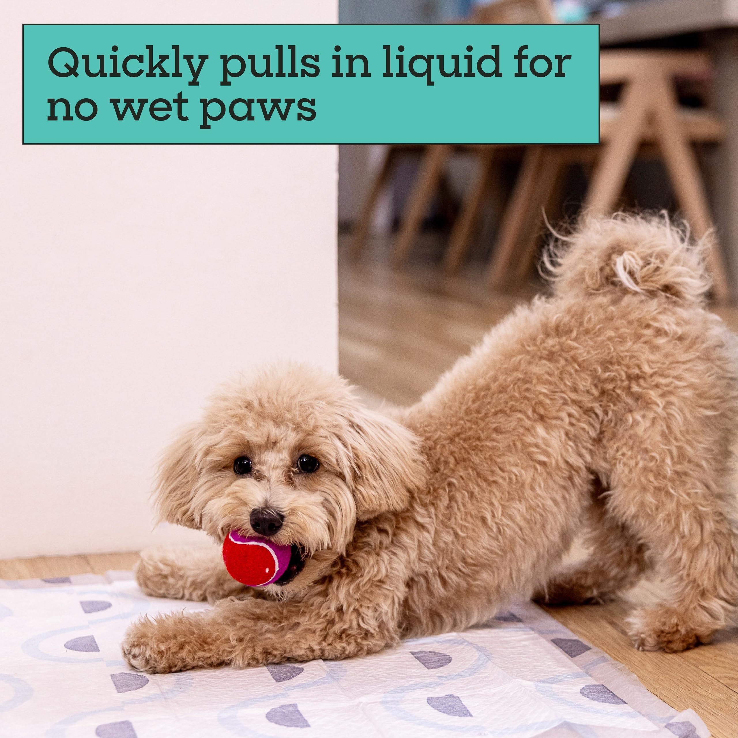Pet Life Unlimited Smart Prints diseño moderno para interiores