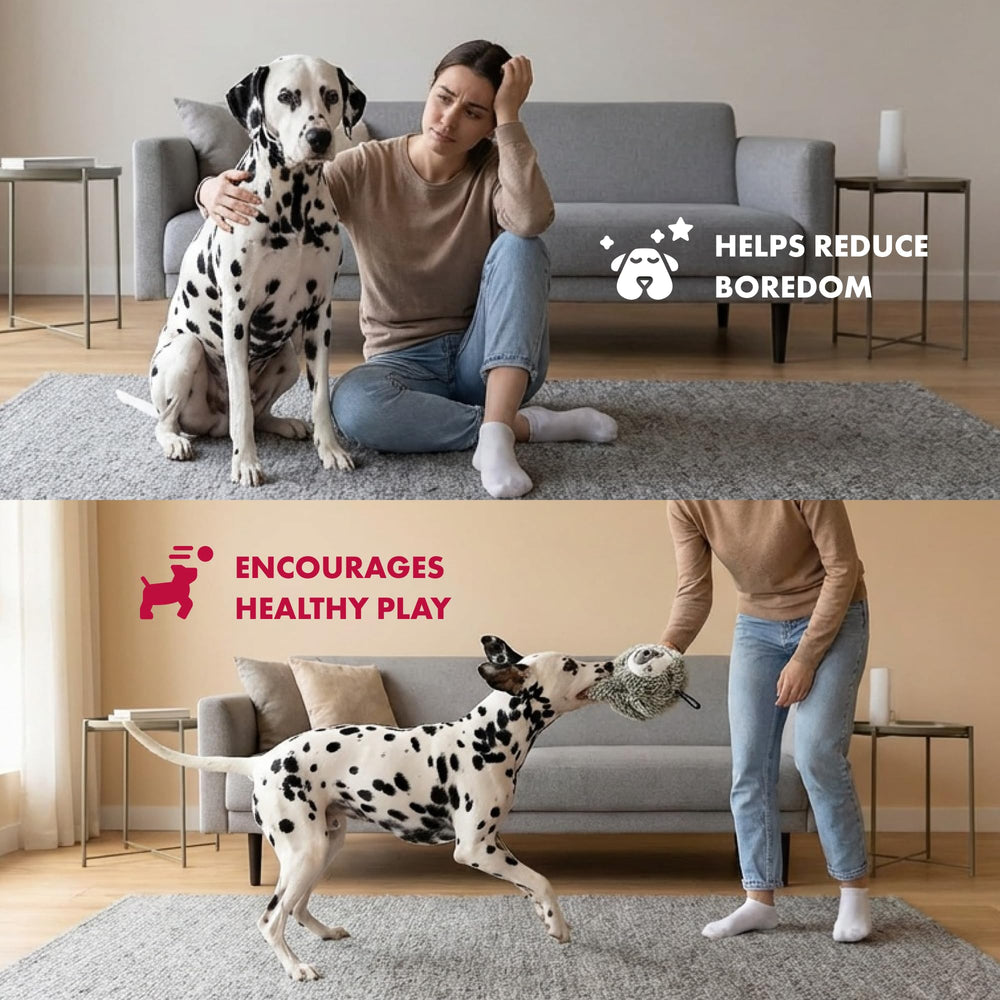 pet lou bola perezoso sin relleno, reduce desorden y facilita la limpieza.