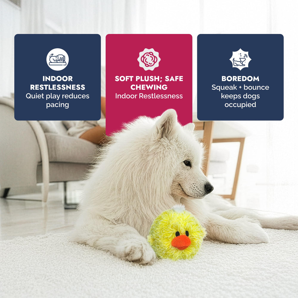 Pet Lou DOG'Z 4 pulgadas, tamaño ideal para perros pequeños