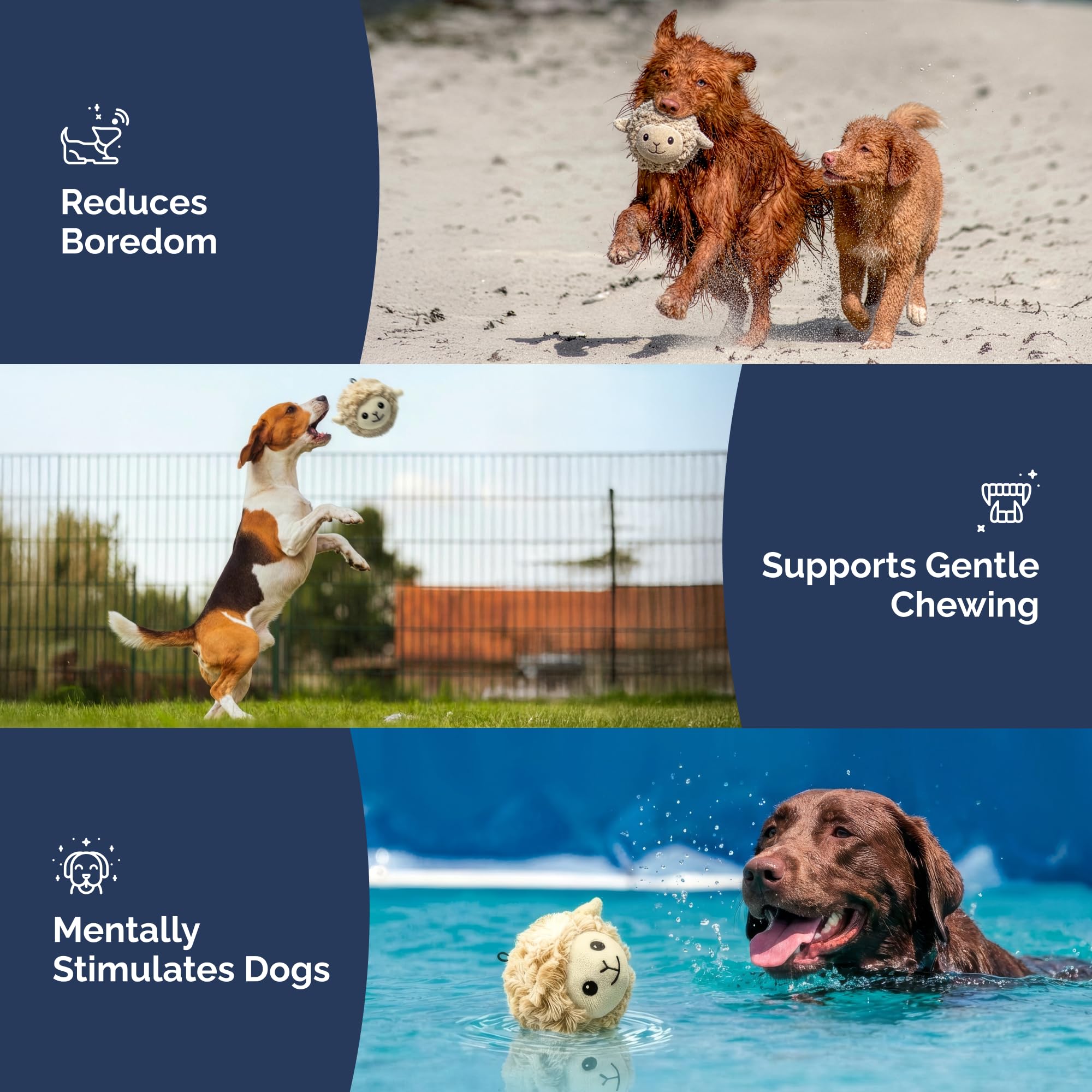 Pet Lou nucleo TPR duradero, resistente para juegos de fetch en interiores.