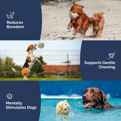 Pet Lou nucleo TPR duradero, resistente para juegos de fetch en interiores.