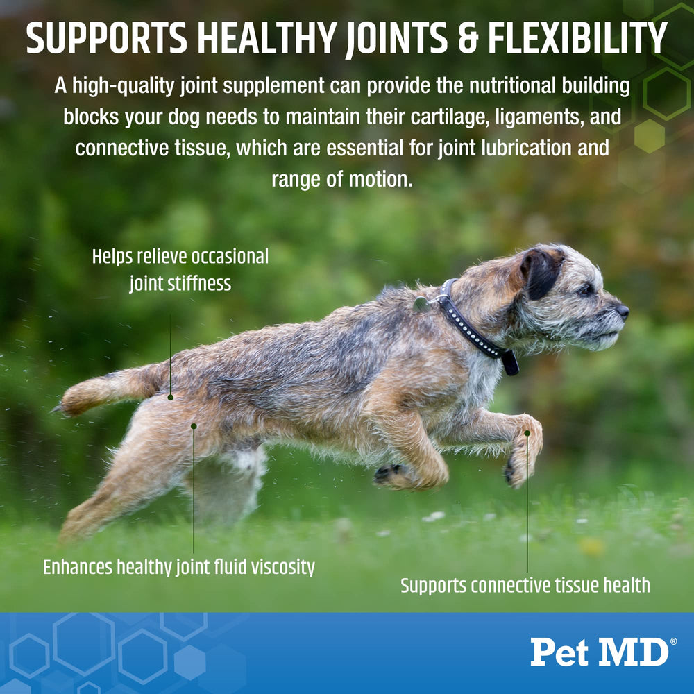 Pet MD Glucosamina para perros: curcuma y yucca para inflamación suave.