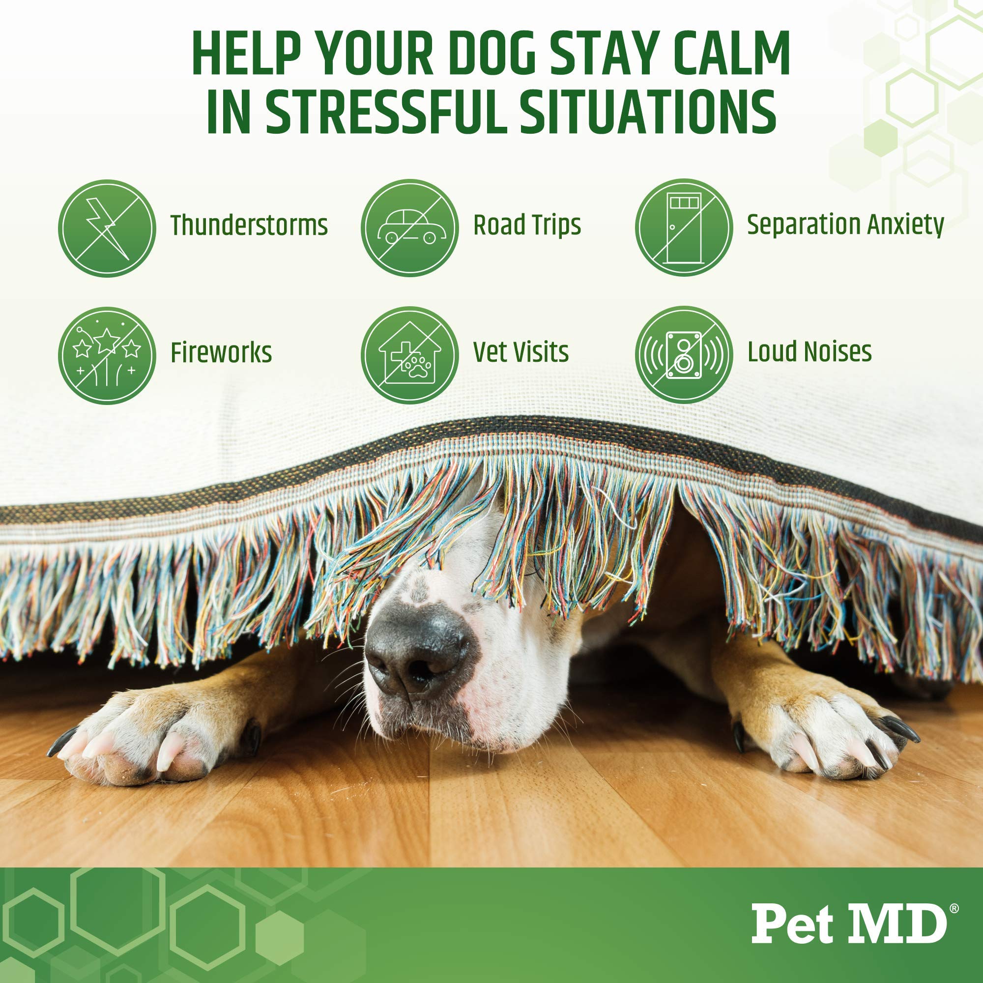 Pet MD perro relajado en sofá: sensación de calma y confort.