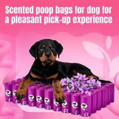 PET N PET bolsas extragruesas resistentes para evitar derrames.