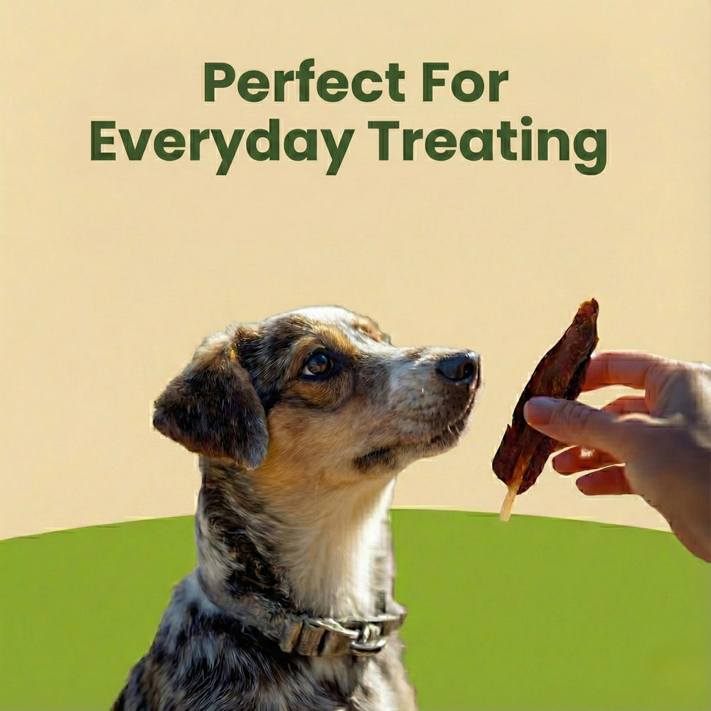 Pet 'n Shape sabor a pato para perros durante entrenamiento y paseos