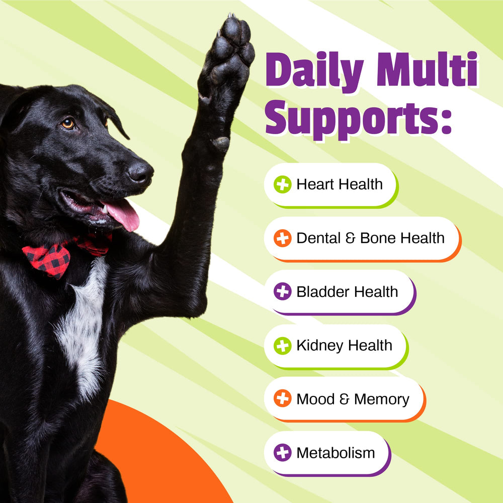 Producto libre de maíz y trigo de Pet Naturals Daily Multi para digestión suave.