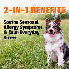 Pet Naturals Allergy Plus Calmante, probióticos para apoyo intestinal y bienestar.