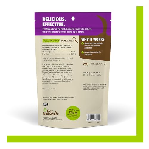Envase de Pet Naturals Lysine de 60 gomitas para uso diario.