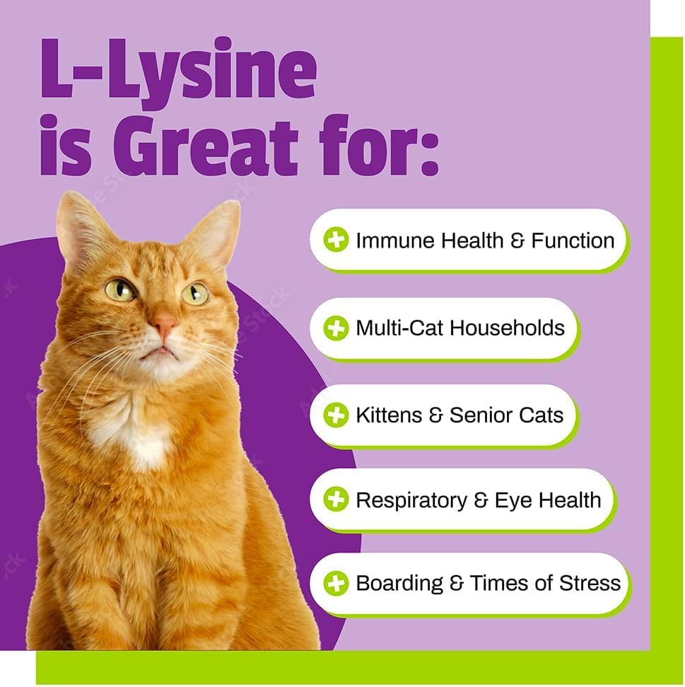 Detalle de textura suave de las croquetas Lysine para gatos.