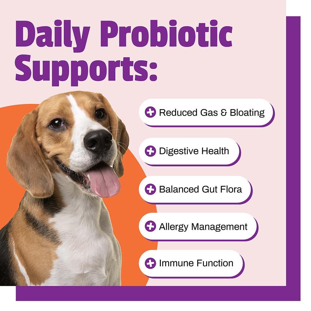 Soporte inmunitario y digestivo con Pet Naturals Probiotics para perros.