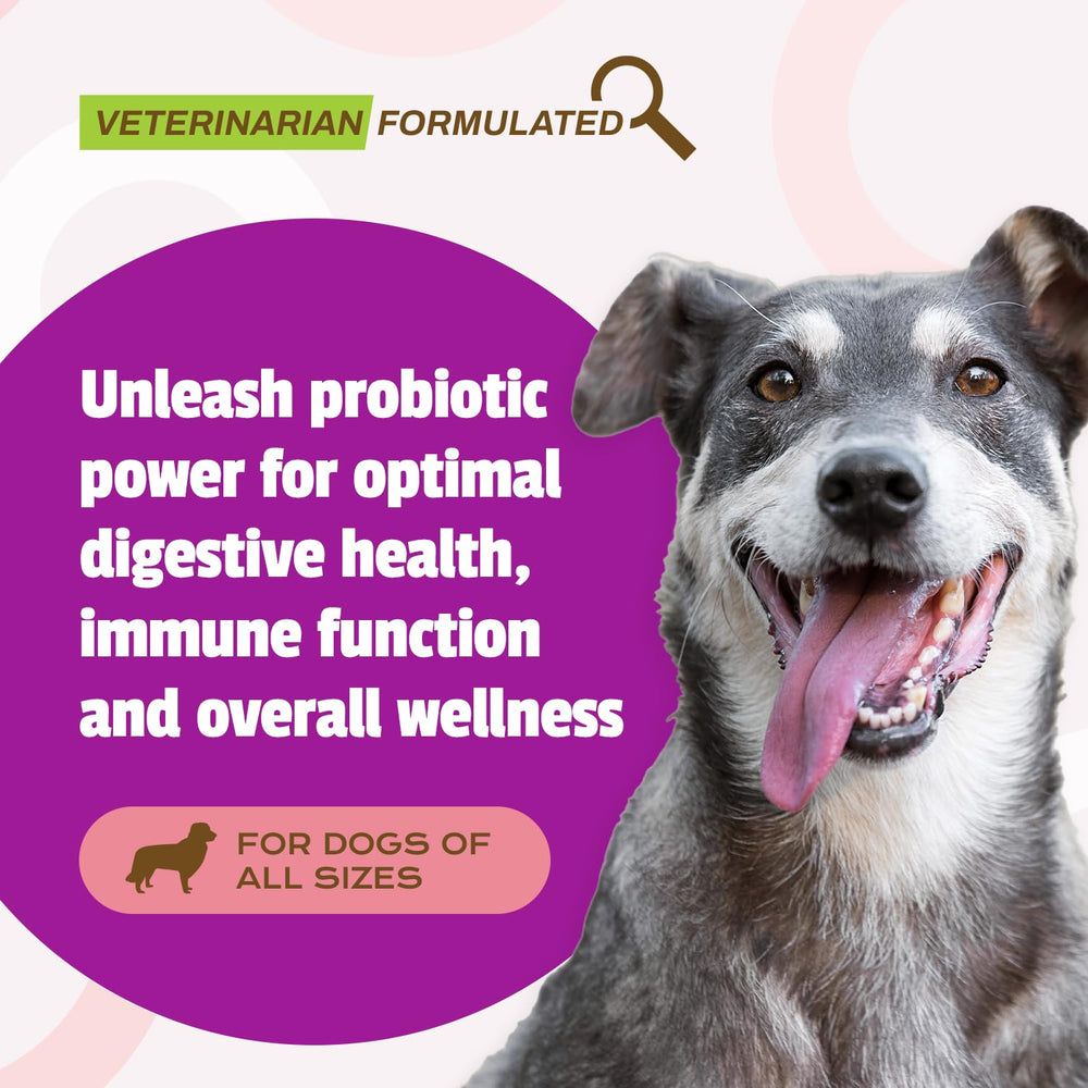 Pet Naturals Probiotics para perros: masticables sabor pato para cuidado diario