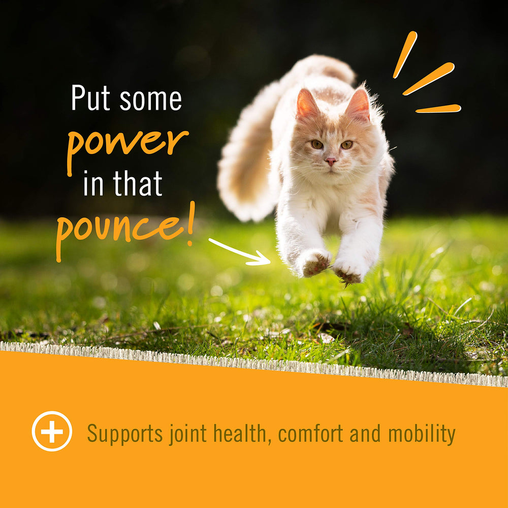 Pet Naturals, suplemento formulado por veterinarios en Estados Unidos.