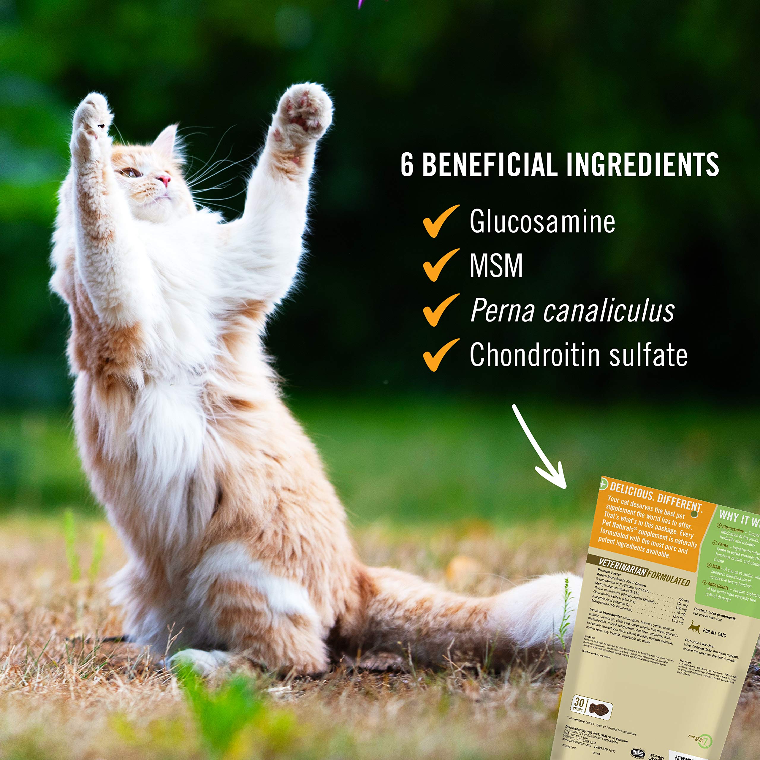 Pet Naturals, sabor a pescado en las gomitas, atractivo para gatos.