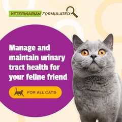 Golosinas sabor hígado de pollo de Pet Naturals UT Support para gatos exigentes.