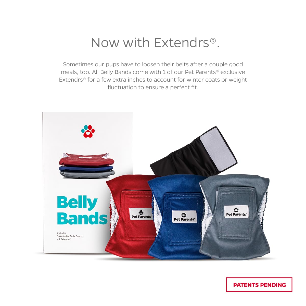 Bandas Macho Pet Parents 3pack, colores negro, óxido y gris para uso diario.