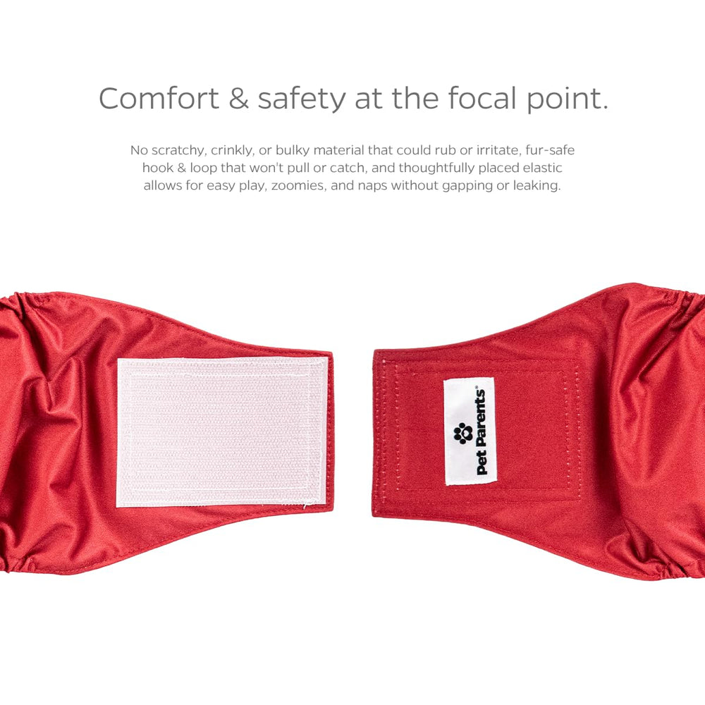 Pet Parents Bandas Macho, capa exterior impermeable para evitar filtraciones.