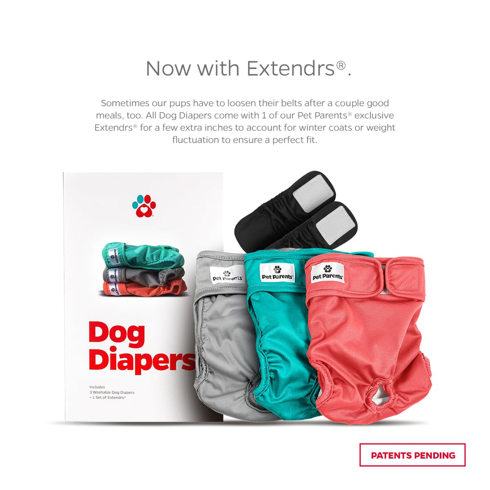 Extendrs de Pet Parents ofrecen ajuste extra para mayor comodidad y seguridad.